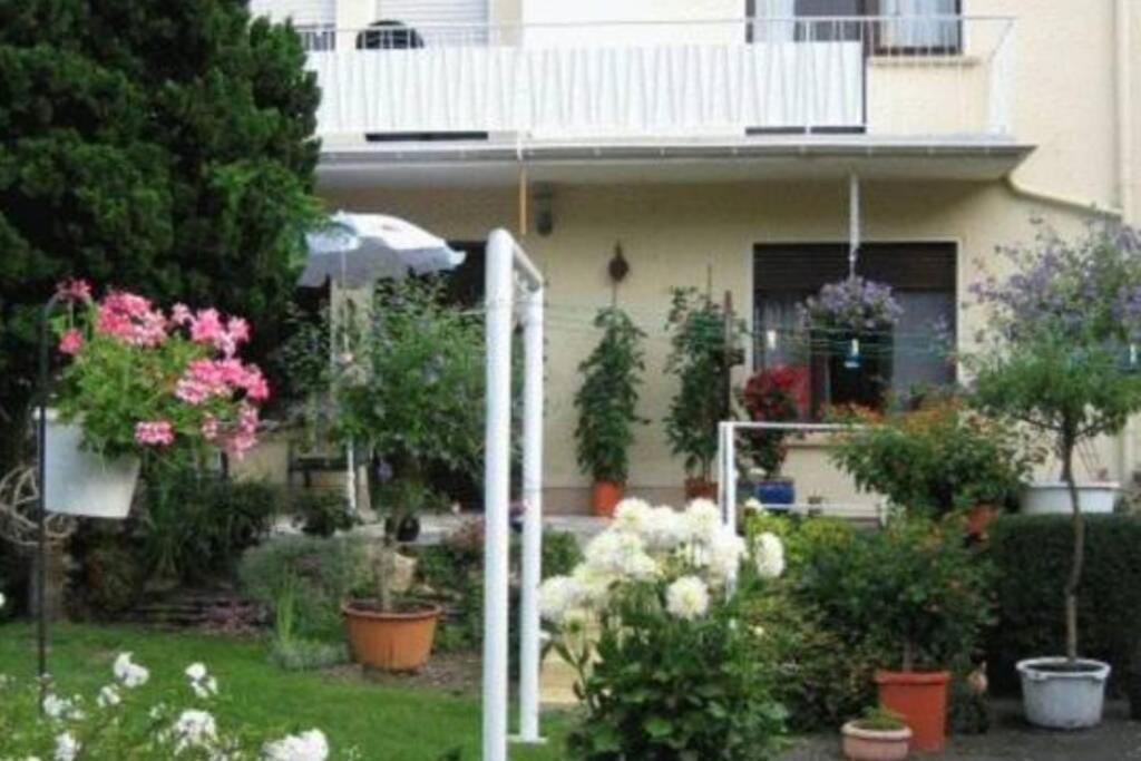 Ferienwohnung Maria Magdalena Bad Neuenahr-Ahrweiler Exterior foto